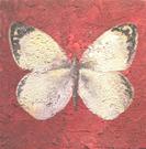 Mark Wydler, Great White (Butterfly) link from Is-Harmony dot com to markwydler.com