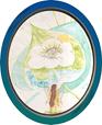 Opinions, reviews and news of global events  via Isabella MH Wesoly at Is-Harmony